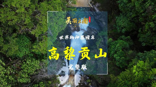 世界物种基因库——云山:高黎贡山(完整版)|《美丽云南》(第三季)