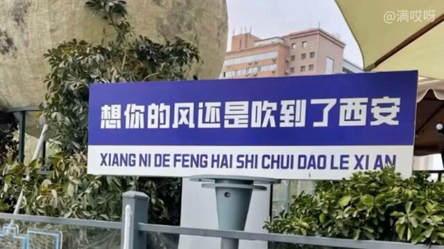 西安旅游胜地:漫步古城,发现千年历史