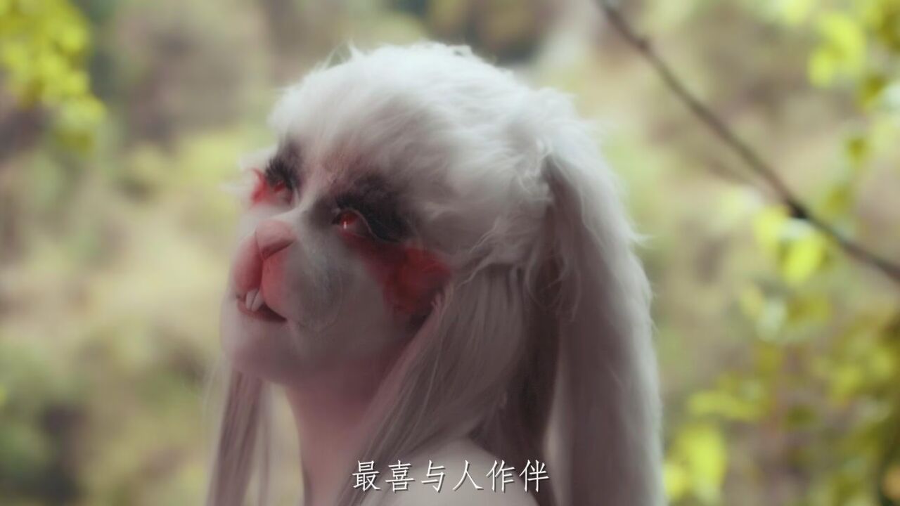 讹兽,生来便是个能说会道古灵精怪的小妖兽,时常捉弄人玩,但因心地善良人和动物都喜欢和它亲近_腾讯视频}