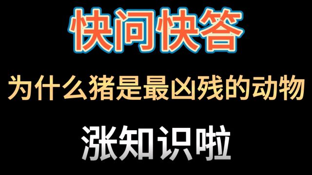 猪为什么是最凶残的动物?日本人为什么要在澡堂里相亲?