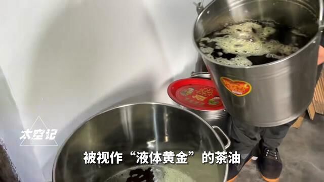 “油中之王”茶油,为何现在很少有人吃了?