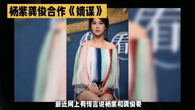 网传杨紫出演《嫡谋》