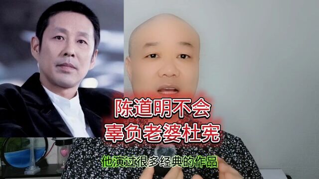 陈道明不会:辜负老婆杜宪!