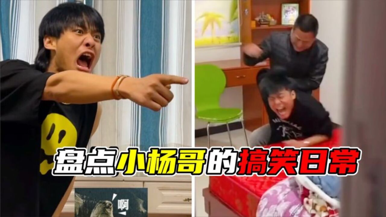 盘点小杨哥的搞笑日常，每天被整的背后，都是大杨哥一个个的套路_高清
