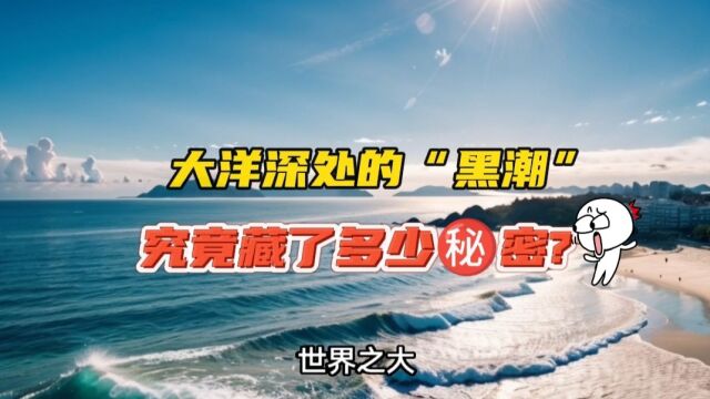 大洋深处的黑潮,常年水温都在20⺤𛥤𘊬这么温暖的洋流里,到底藏了多少秘密?