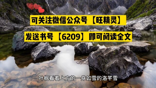 我,纨绔之名响彻诸天(叶枫小说)○完结玄幻全文免费阅读完整