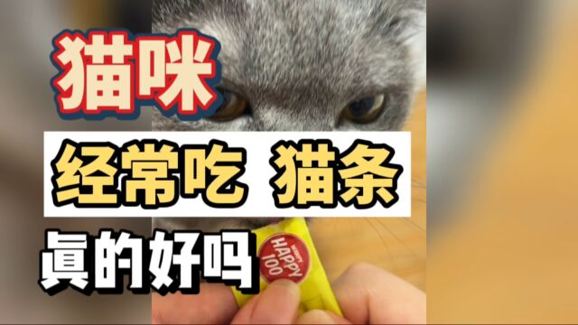 猫咪经常吃猫条真的好吗?