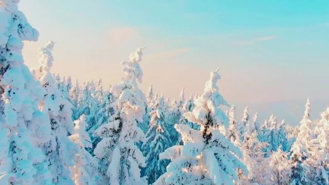 探索神秘的冰雪王国:北极之旅