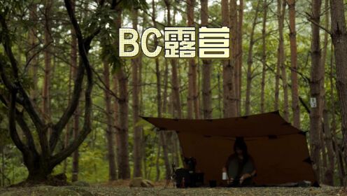 BC露营 | 一人树林露营