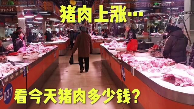 北京周边猪肉价格上涨,看批发市场今天猪肉多少钱?#猪肉价格 #猪肉涨价 #北京周边菜价 #放心肉 #农贸市场 #卖猪肉