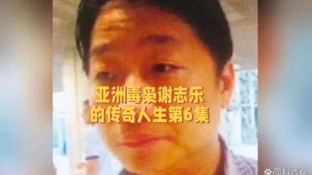 亚洲毒枭谢志乐的传奇人生第6集