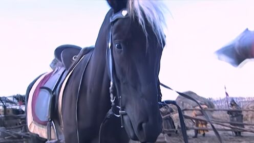 一匹称霸江湖二十余年的神马，此马武功高强，至今无人能驯服它