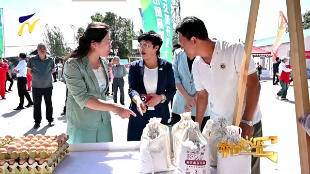 【阳光资讯】盐池县麻黄山举办首届荞麦花节