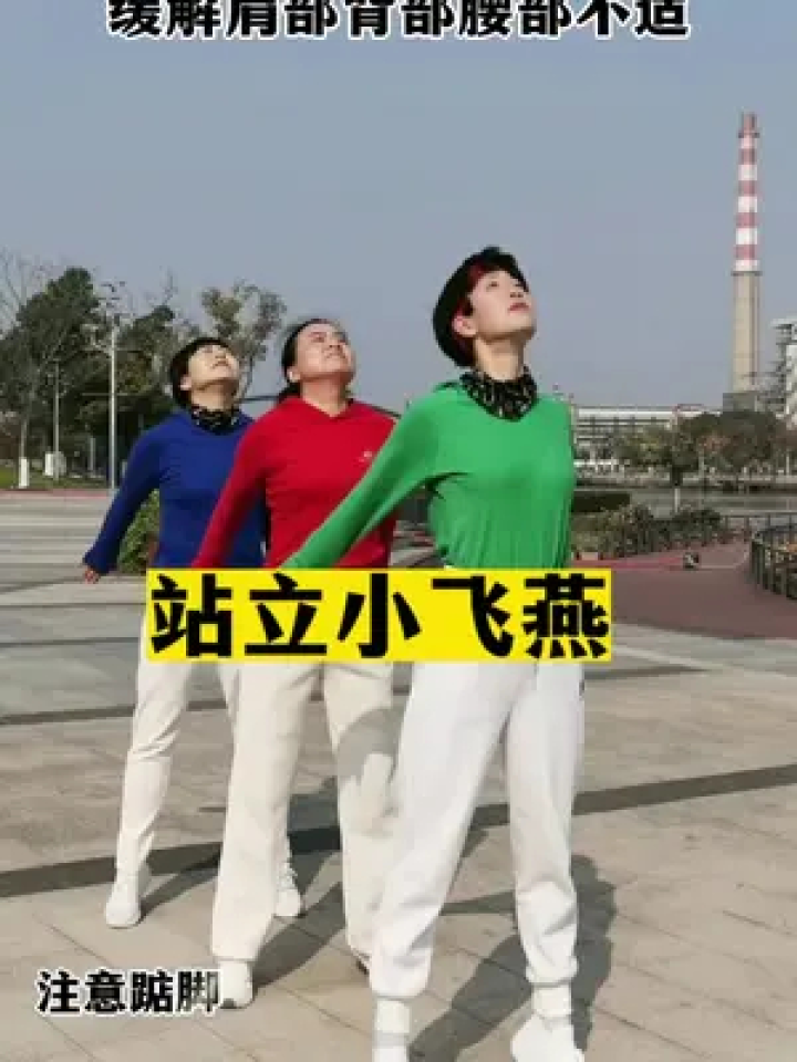 站立小飞燕,练了真舒服#居家锻炼 #肩背 #肩颈腰背 #颈肩腰椎锻炼操