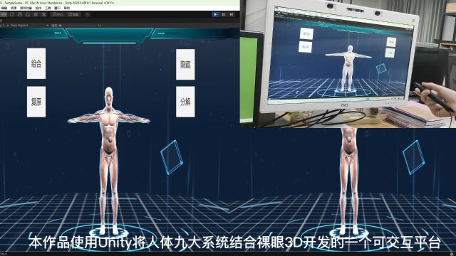 人体九大系统裸眼3D展示