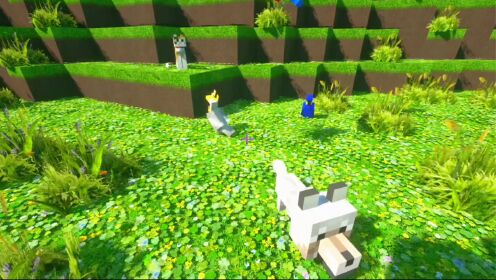 我的世界:8个关于动物的冷知识#我的世界#mc#minecraft_高清1080P在线观看平台_腾讯视频