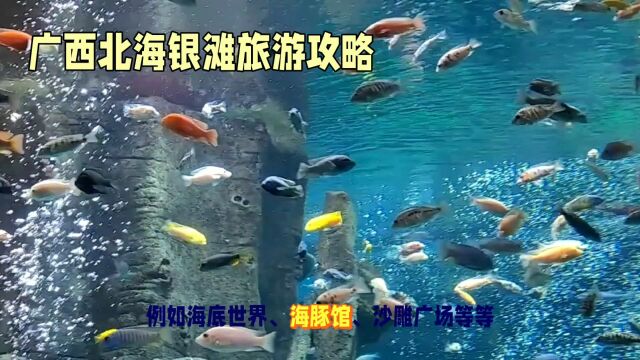 北海银滩:享受大海的清凉和宁静