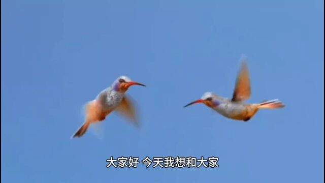 博大精深的中华文明