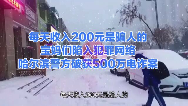 每天收入200元是骗人的,宝妈们陷入犯罪网络,哈尔滨警方破获500万电诈案!