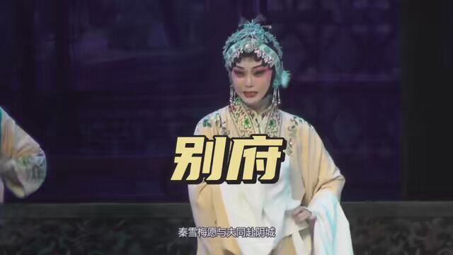 河南豫剧院青年团演出 阎派名剧《秦雪梅》 别府一折 杜永真 王黎汇 王顺演唱