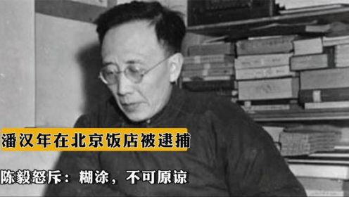 1955年，潘汉年在北京饭店被秘密逮捕，陈毅怒斥：糊涂，不可原谅
