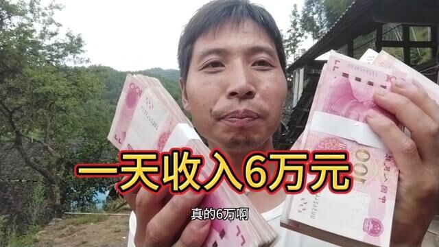 卖出4000斤田螺一天入账6万元,抛去成本,毛利在5万元左右 #田螺养殖