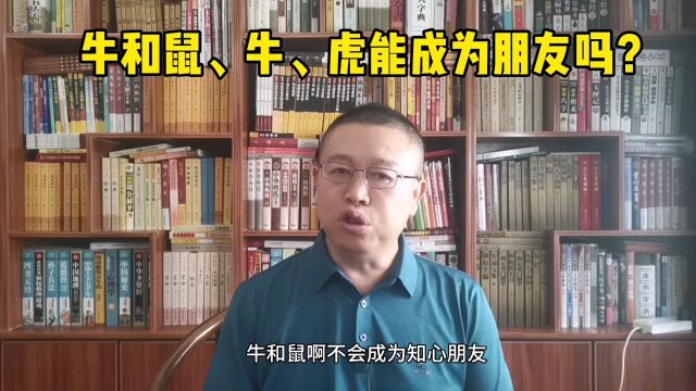 秦华讲解十二生肖,属牛的人和鼠、牛、虎的人能不能深交?