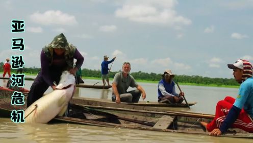 狂野之河：亚马逊河被污染出现黑色内脏的死鱼，村民也因此患病！