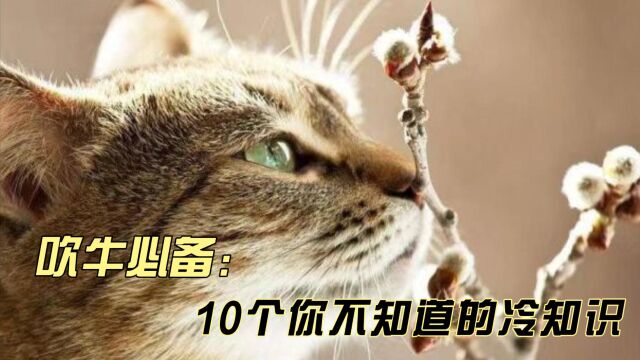 10个你绝对不知道的冷知识