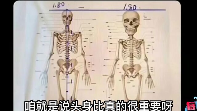 【每日一囧】身高不矮但是看起来很矮的原因