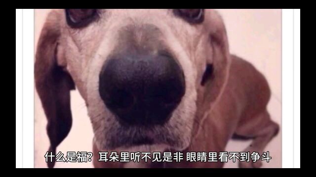 什么才是福