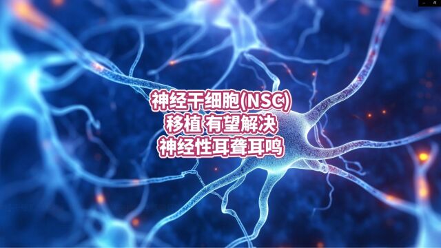 神经干细胞(NSC)移植,有望解决神经性耳聋耳鸣