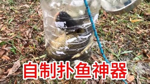 网上学的:“自制扑鱼神器”原来真的能抓到鱼,还都是一样大的鱼_高清1080P在线观看平台_腾讯视频