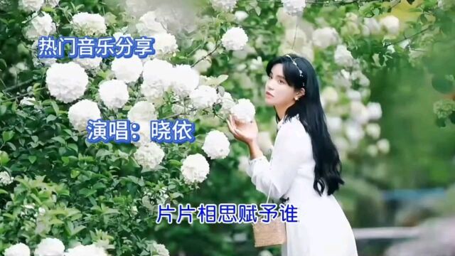 《片片相思赋予谁》演唱:晓依