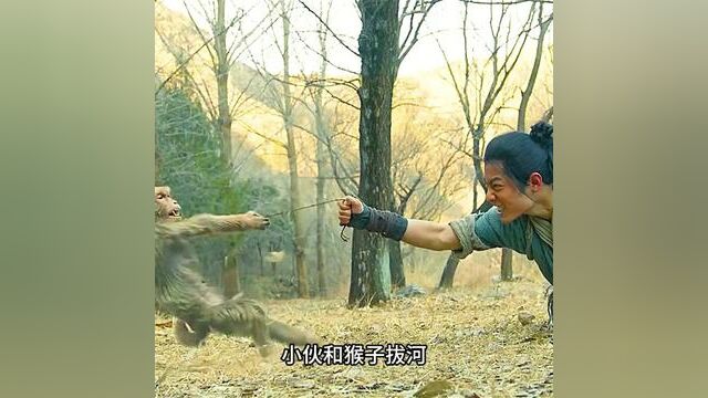 #武极天尊 #魔方剧院