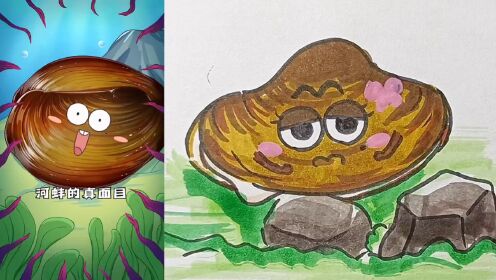 简笔画279:河蚌的真面目