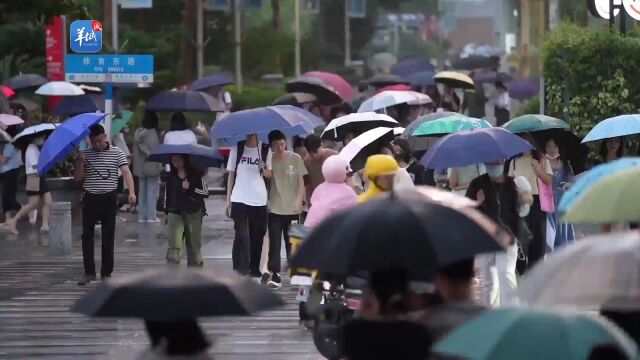 视频+图集|台风“苏拉”外围云系带来降雨,市民下班受影响