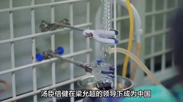 结合汤臣倍健半年报相关数据,梁允超坚定走科学营养战略决心#汤臣倍健