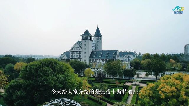 冬游烟台,一定不要错过这些葡萄酒庄园#魅力胶东183集