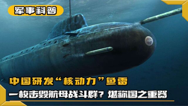 中国“核动力鱼雷”亮相,一枚便能击毁航母战斗群?堪称国之重器