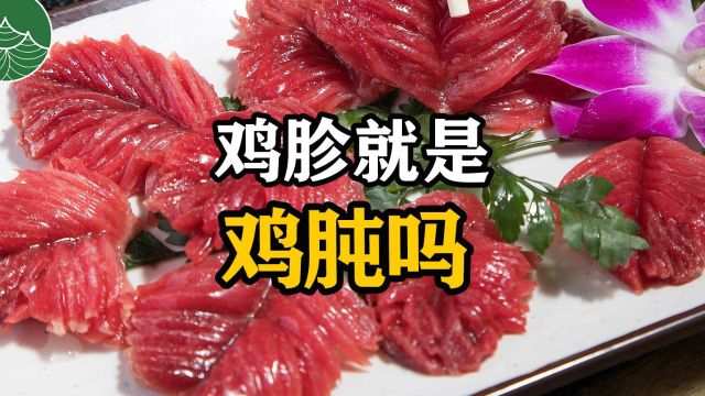 鸡胗就是鸡肫吗?