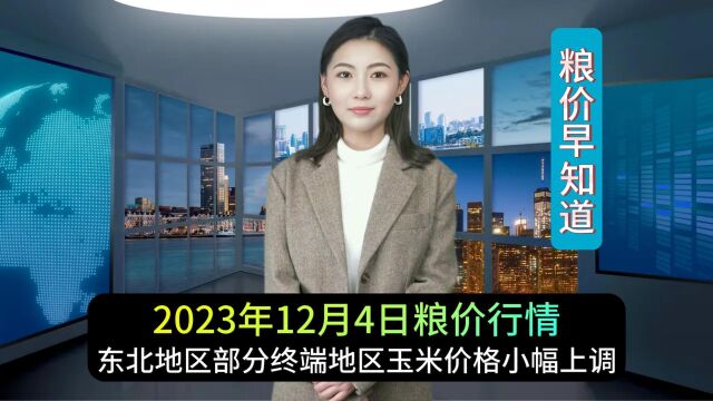 东北地区部分终端地区玉米价格小幅上调,港口市场弱势企稳!