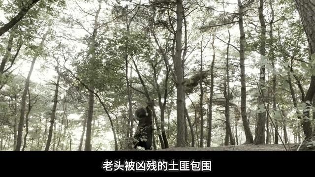 影视:鹊刀门被黑风寨土匪包围!《鹊刀门传奇 7》 #鹊刀门传奇 #赵本山 #宋小宝 #武侠剧