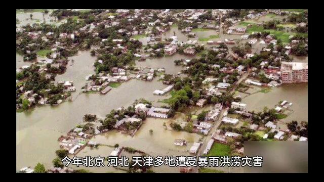 未来的50年里,很多东西都是无法预知的