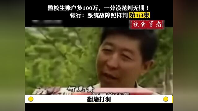 警校生账户多100万,一分没花判无期,银行系统故障照样判社会百态改判