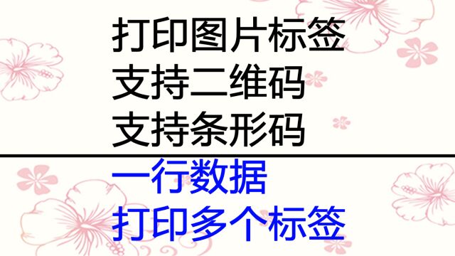 批量生成含图片含箱号的产品标签或者唛头,一行数据生成多个标签