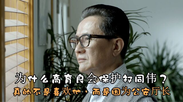 为什么高育良会保护祁同伟?真的不是喜欢他,而是因为公安厅长