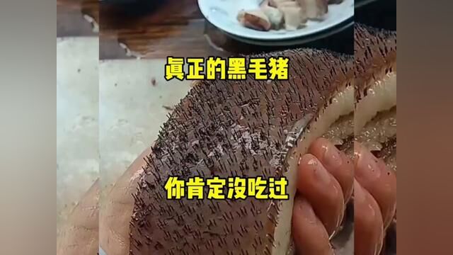 真正的黑毛猪,你肯定没吃过. #搞笑配音 #搞笑视频