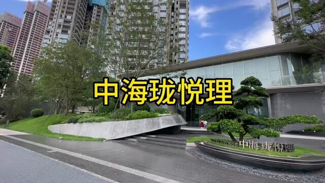 约65批购房者承担了约15.8亿的销售额#深圳买房 #龙华新房 #深圳北站 #中海珑悦理