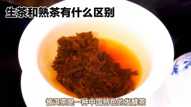 品茶之道:普洱生茶与熟茶,哪种适合你